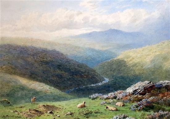 Harry Sutton Palmer (1854-1933) Sheep in a mountain landscape 11 x 15.75in.